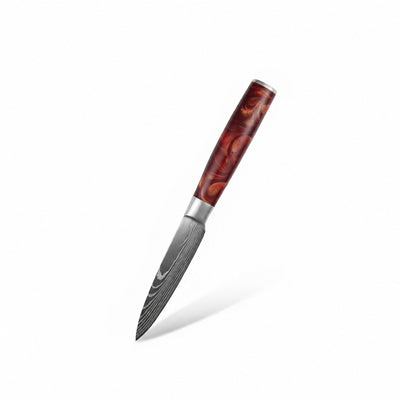 Couteau d'office japonais Haganori chef tanaka terre de feu