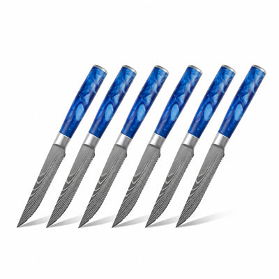 Pack Passion Tanaka Bleu Océan