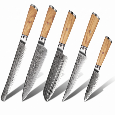 Coffret Take · 5 couteaux (Gyuto, Santoku, Office, Désosser, Pain)